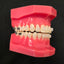 CX Ceramic .018 Roth Brackets Hooks 3,4,5's